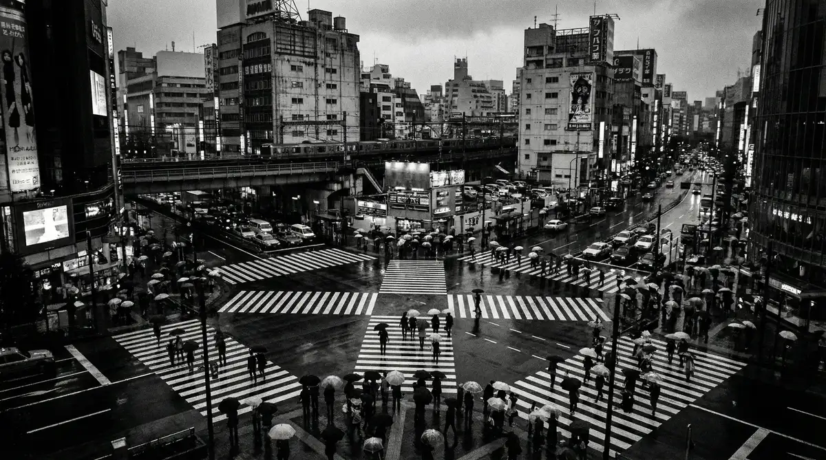 城市十字路口的行人在雨中穿行的纪实影像